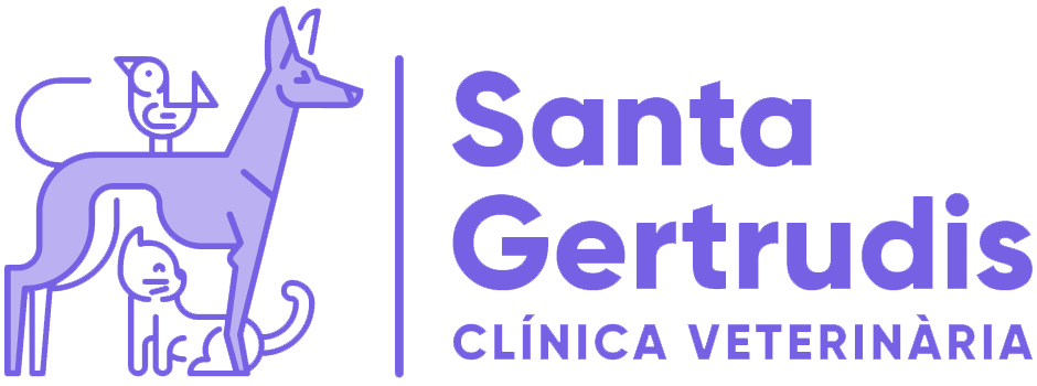 Clínica Veterinaria Santa Gertrudis Ibiza
